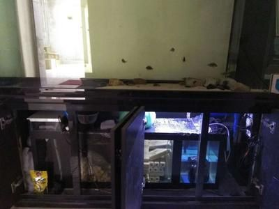 大魚(yú)缸換水怎么加熱：水族箱水質(zhì)管理全攻略