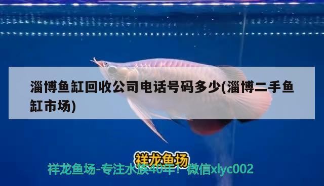 淄博魚缸回收公司電話號碼多少(淄博二手魚缸市場)