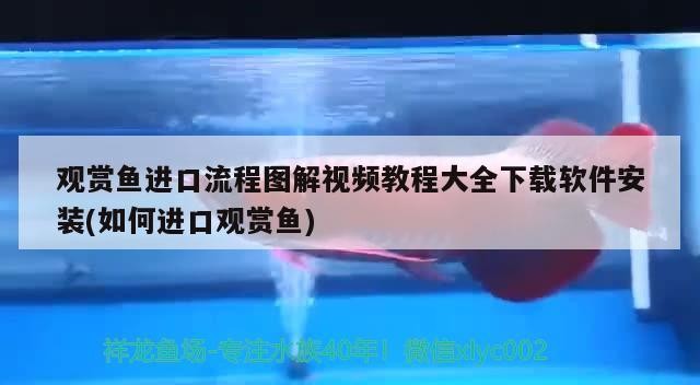 蘭州龍魚祥龍魚場在哪里（蘭州祥龍生態園好玩嗎）