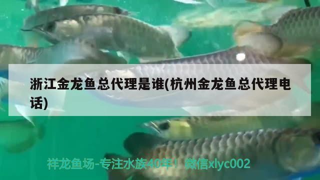 蘭州龍魚祥龍魚場在哪里（蘭州祥龍生態園好玩嗎）