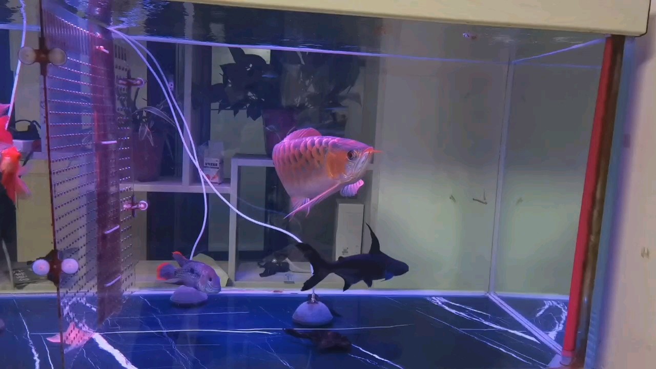 打卡！！