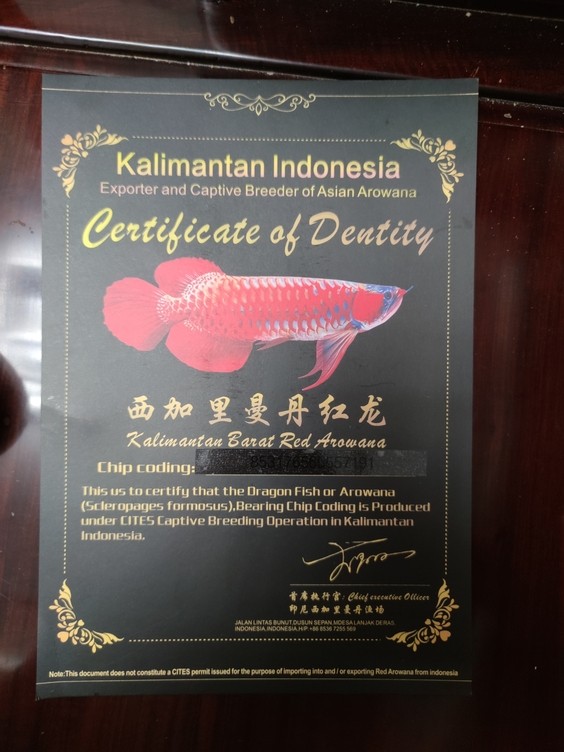 這個(gè)證書(shū)有什么用呢？