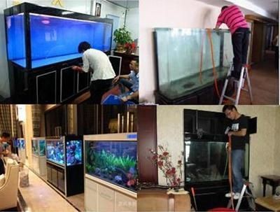 代理魚缸利潤有多大：投資魚缸代理的重要性