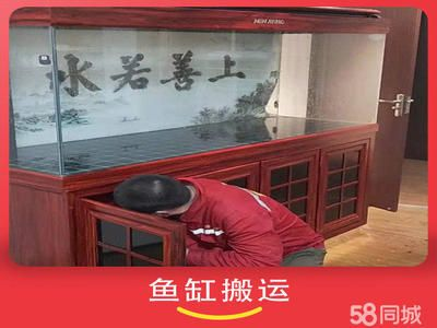 搬家公司搬一個魚缸多少錢啊：搬家公司搬一個魚缸的費用會根據哪些因素進行計算？