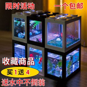 斗魚缸diy：關于斗魚缸的diy的建議和步驟