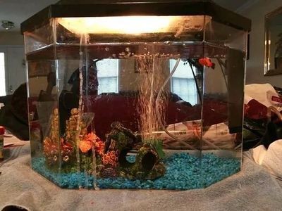 玻璃魚缸改造成景觀魚缸：玻璃魚缸改造之景觀設計