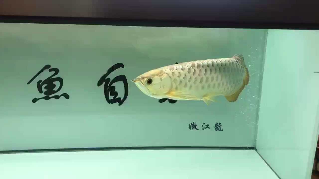 圓規(guī)為什么能畫圓，因?yàn)樗男囊恢睕](méi)變。