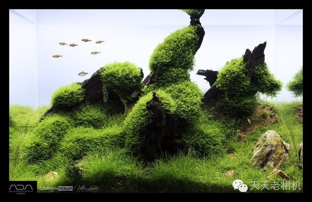 森森魚缸增氧機使用方法（森森魚缸增氧泵安裝示意圖）