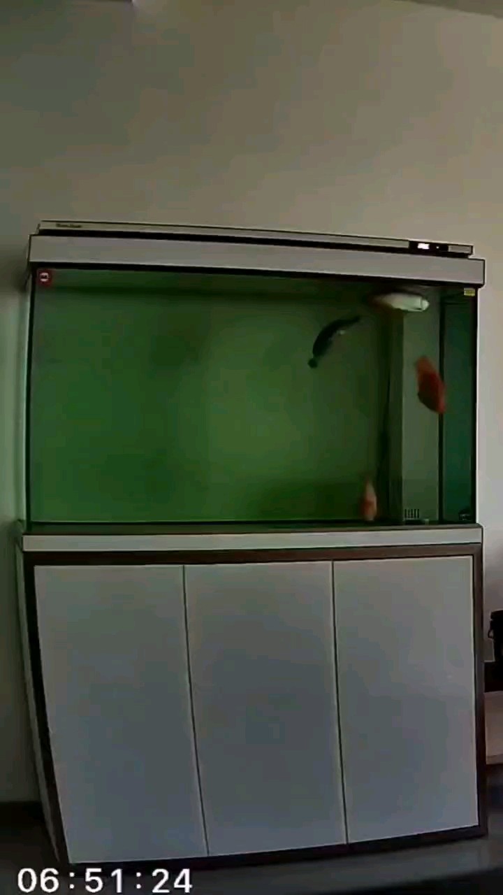 第二天