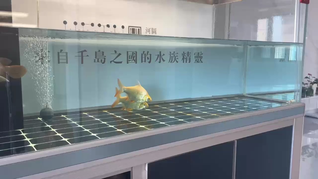 簡單的事情重復(fù)做