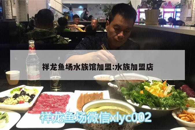 祥龍魚場水族館加盟:水族加盟店