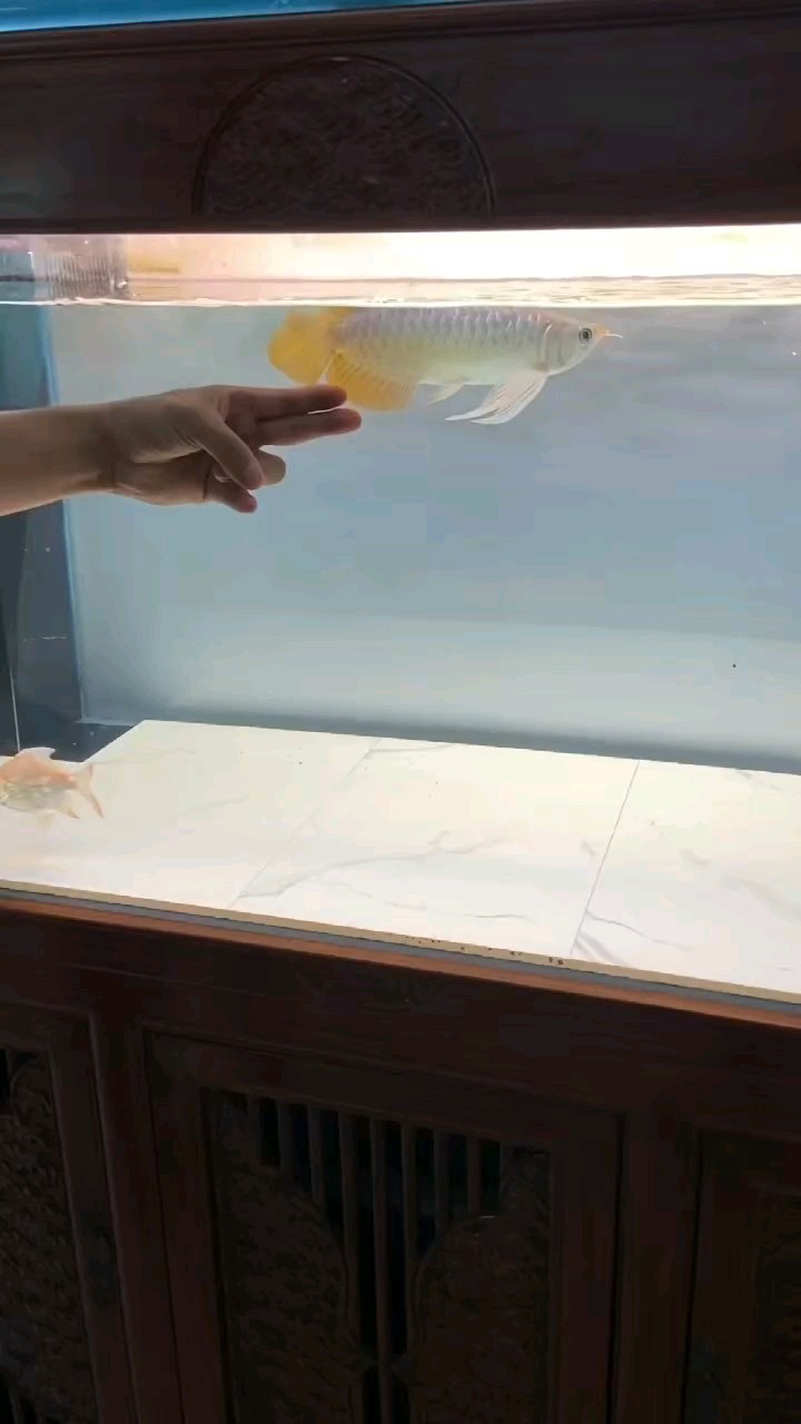 型不型
