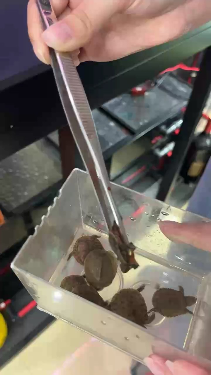 吃點有營養的