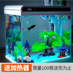 能和雷龍魚混養的魚有哪些（能和雷龍魚混養的魚有哪些品種）