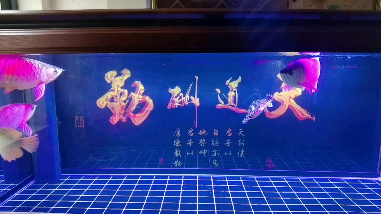 打燈的狀態