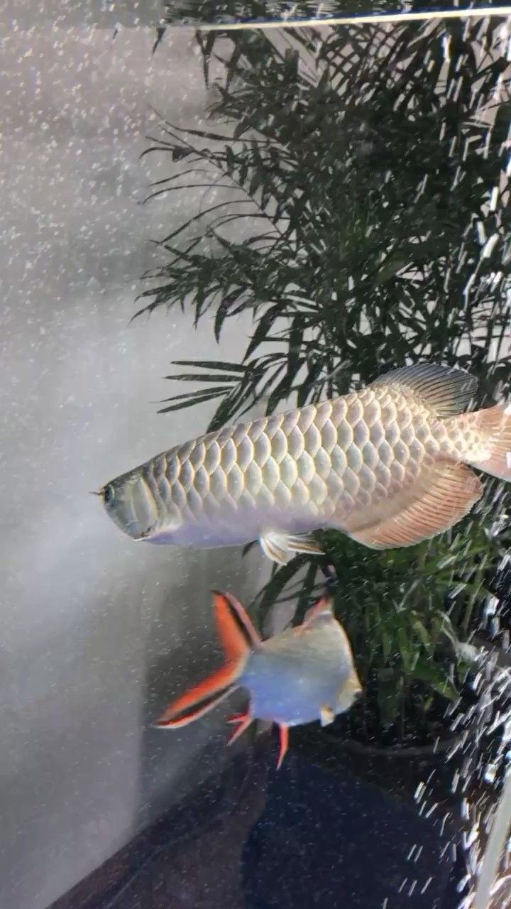 文山壯族苗族自治州水族館:準備換水了