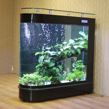 洞口縣七彩水族魚坊（洞口縣七彩水族魚坊電話）