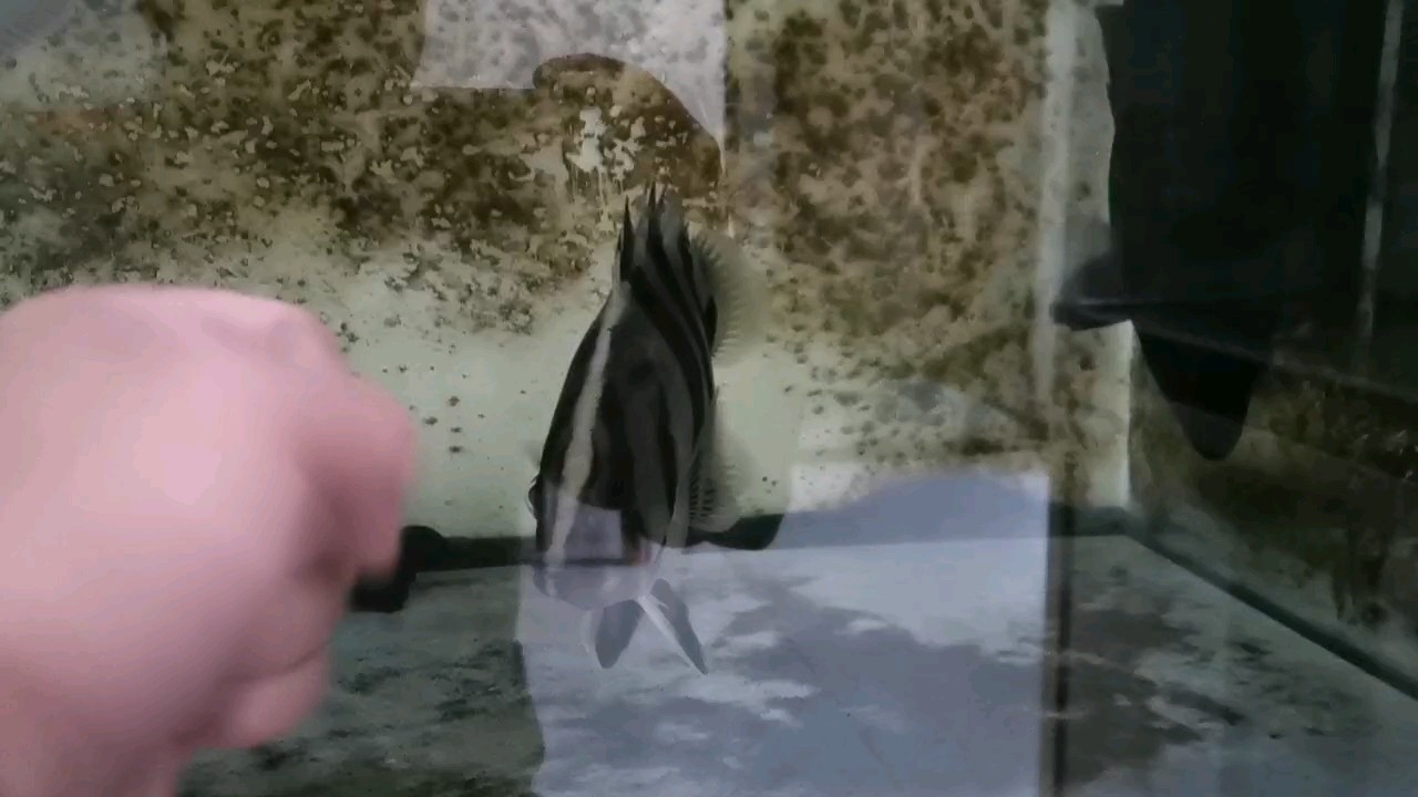 關燈及黑暗