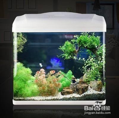 彌勒市印象水族館（彌勒市印象水族館電話）