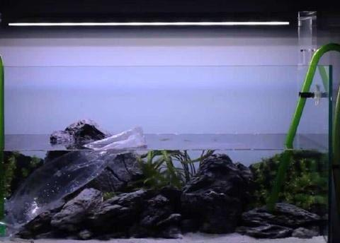 盤錦哪里賣魚缸好看又實惠（盤錦哪里賣魚缸好看又實惠的）
