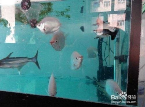 臨汾市堯都區永信水族館（臨汾市堯都區永信水族館電話）