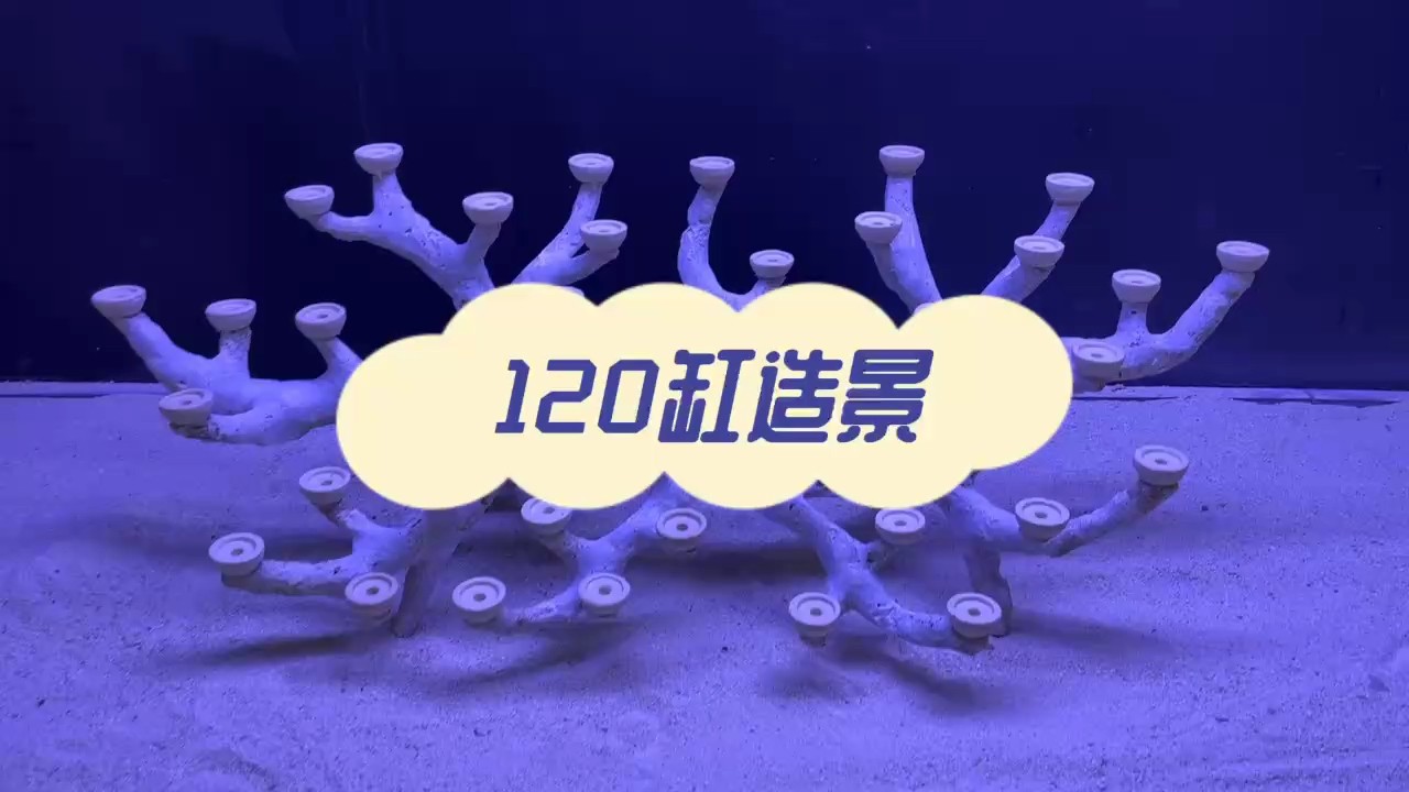 120海缸造景，珊瑚缸造景