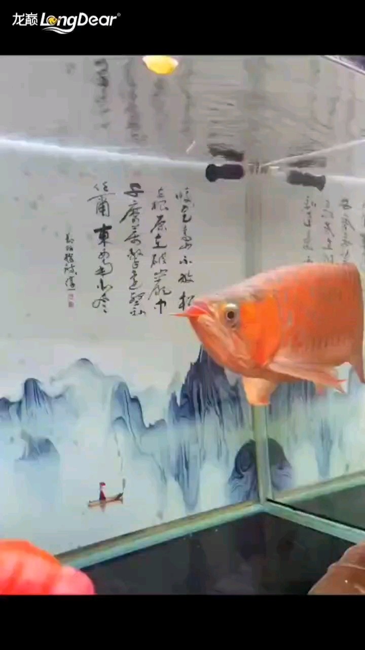 轉發189