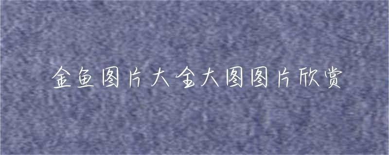 100種金魚圖片