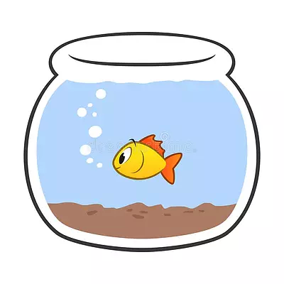 錦鯉魚寓意和象征