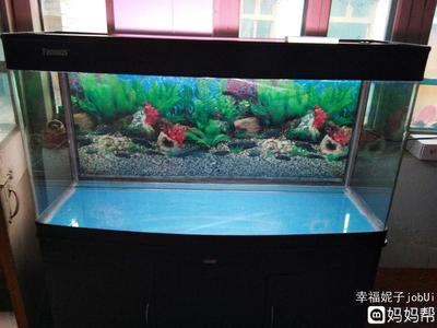 三門(mén)峽魚(yú)缸布景店在哪個(gè)位置啊