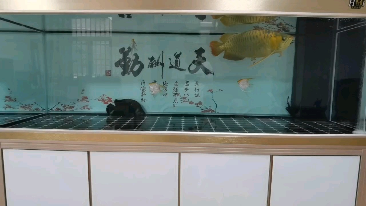 如魚得水