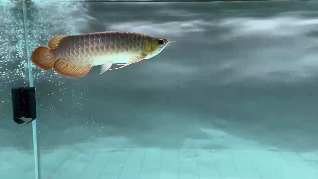 臺風過后氣溫驟降