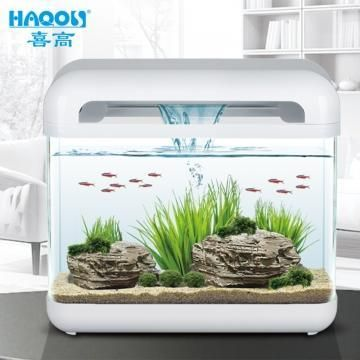 創意造景魚缸 瀑布:創意造景魚缸造景流沙瀑布的制作方法和建議和建議 魚缸百科 第4張 創意造景魚缸 瀑布:創意造景魚缸造景流沙瀑布的制作方法和建議和建議 創意造景魚缸 瀑布:創意造景魚缸造景流沙瀑布的制作方法和建議和建議 魚缸百科 第4張