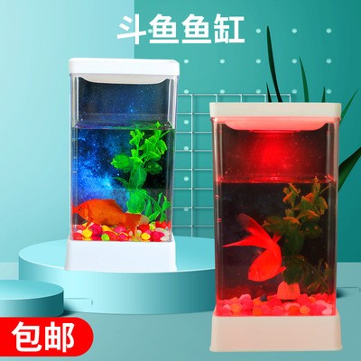 慶大霉素加魚缸