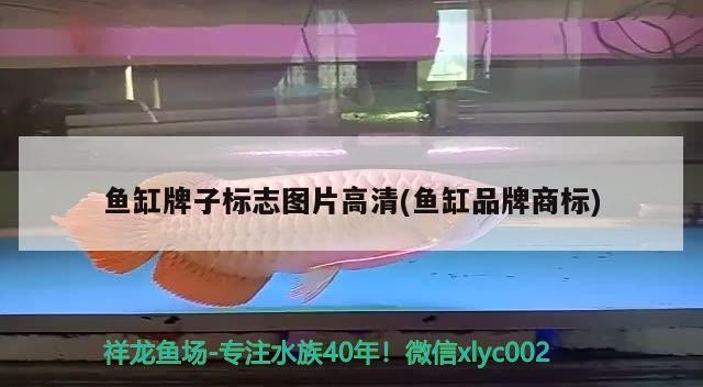 魚缸牌子標志圖片高清(魚缸品牌商標)