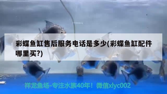 森森專賣店,鄭州店（鄭州森森網(wǎng)絡(luò)科技有限公司）