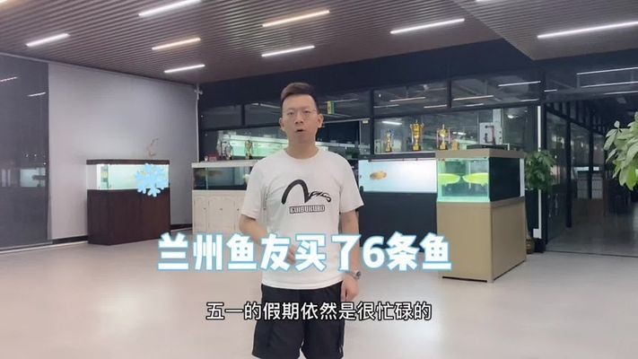 水鴉魚缸屬于什么檔次