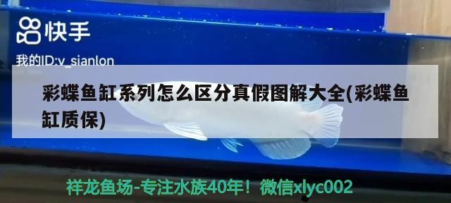 自制魚缸底濾器：打造高效、經濟的魚缸底濾系統魚缸底濾器，自制魚缸底濾器視頻教學：打造高效、經濟的魚缸底濾器