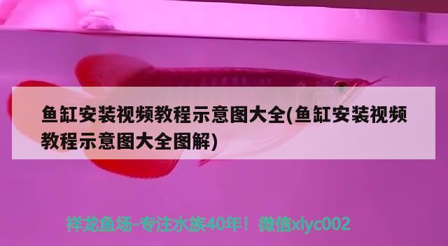 自制魚缸底濾器：打造高效、經濟的魚缸底濾系統魚缸底濾器，自制魚缸底濾器視頻教學：打造高效、經濟的魚缸底濾器