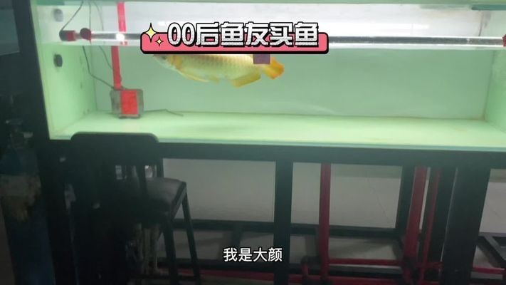 水鴉魚缸屬于什么檔次