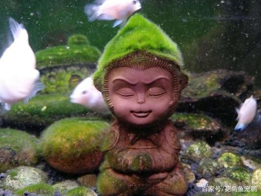 森森FG-W1外置霧化桶（森森外置過濾器怎么樣）