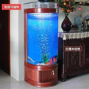 半圓形的魚缸叫什么：關(guān)于半圓形魚缸的一些基本信息