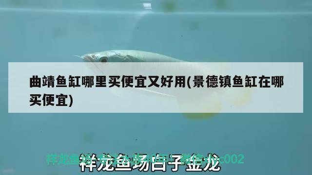 曲靖魚缸哪里買便宜又好用(景德鎮魚缸在哪買便宜)