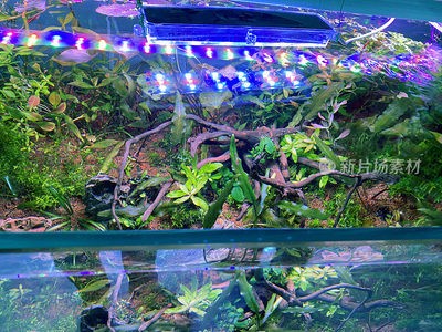 漢臺區(qū)鑫江源水族館（漢臺區(qū)鑫江源水族館地址）