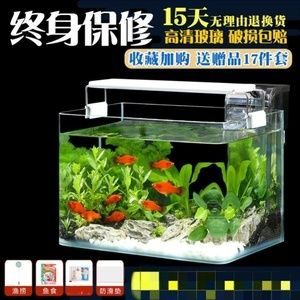 玻璃魚缸裂縫用什么東西可以修補(bǔ)呢：如何修補(bǔ)魚缸裂縫