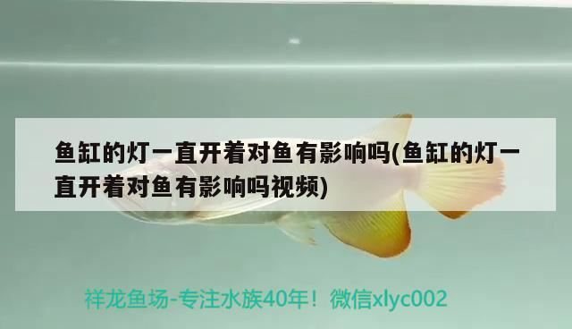 博特水族官網(wǎng)在哪里？，博特水族（botesz.com）官方網(wǎng)站可訪問