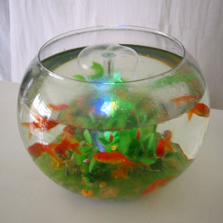 玻璃園魚缸價(jià)格多少：如何選擇合適的玻璃園魚缸？