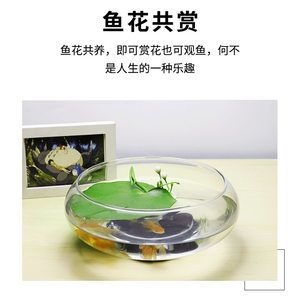 玻璃園魚缸價(jià)格多少：如何選擇合適的玻璃園魚缸？