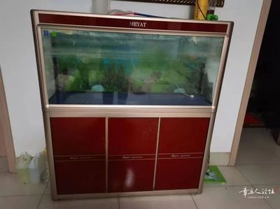 處理二手魚缸9成新魚缸魚缸二手：二手魚缸如何處理？