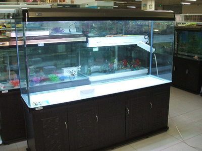處理二手魚缸9成新魚缸魚缸二手：二手魚缸如何處理？